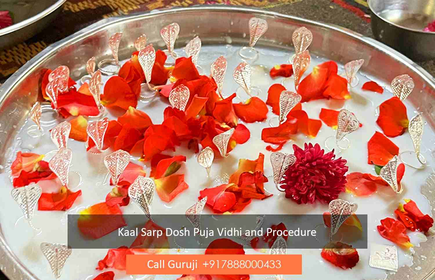 Kaal Sarp Dosh Puja Vidhi and Procedure