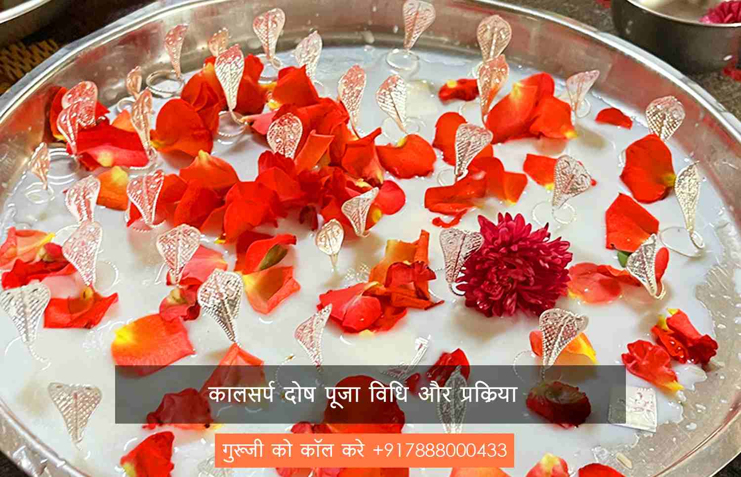 कालसर्प दोष पूजा विधि और प्रक्रिया