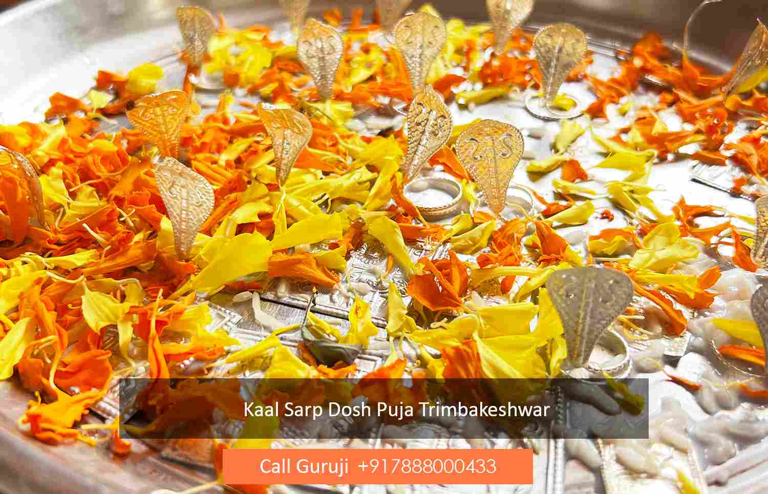 Kaal Sarp Dosh Puja Trimbakeshwar