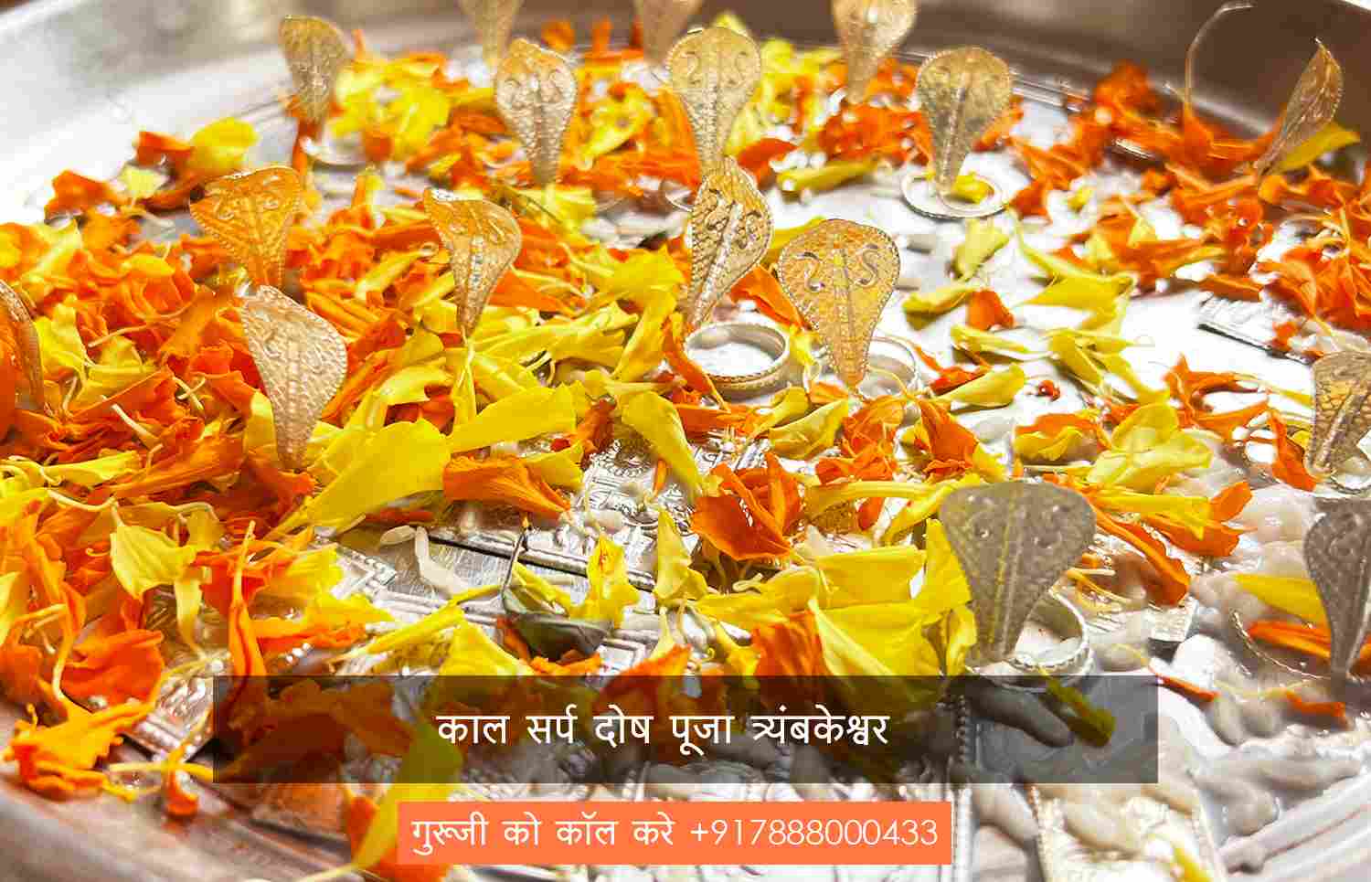 काल सर्प दोष पूजा त्र्यंबकेश्वर