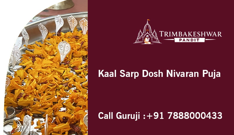 Kaal Sarp Dosh Nivaran Puja