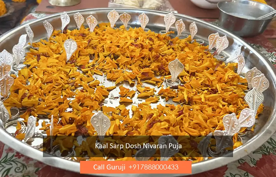 Kaal Sarp Dosh Nivaran Puja