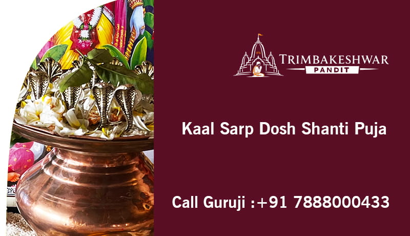 Kaal Sarp Dosh Shanti Puja