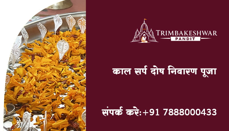 काल सर्प दोष निवारण पूजा