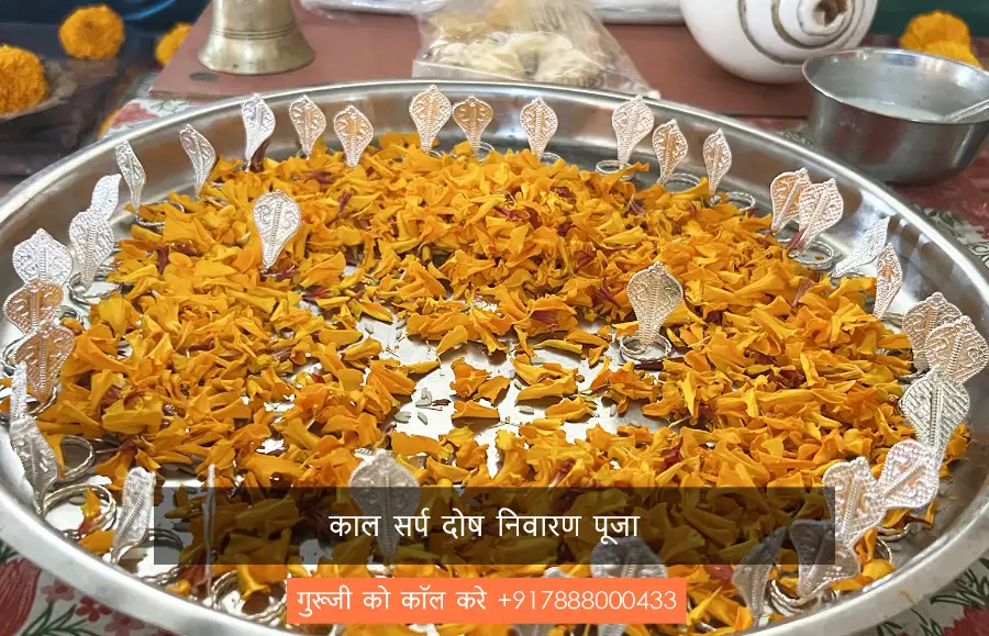 काल सर्प दोष निवारण पूजा