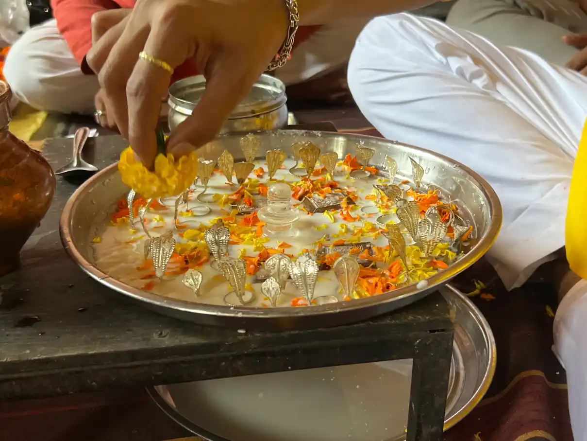 Kaal Sarp Puja in Trimbakeshwar Temple